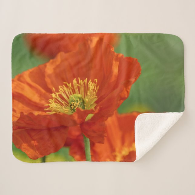 Manta Sherpa Bonita amapola roja (Anverso (horizontal))