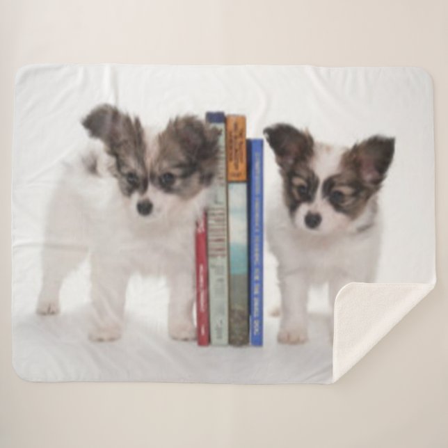 MANTA SHERPA BOOKENS DE PUPPY (Anverso (horizontal))