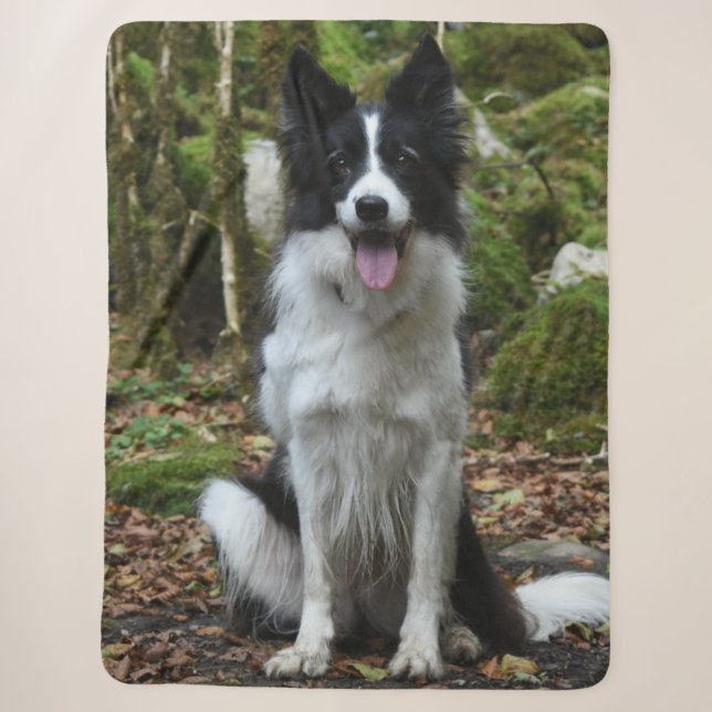 MANTA SHERPA BORDER COLLIE (Anverso)