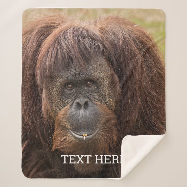 Manta Sherpa Borneo Orangutan Beautiful Photography (Anverso)