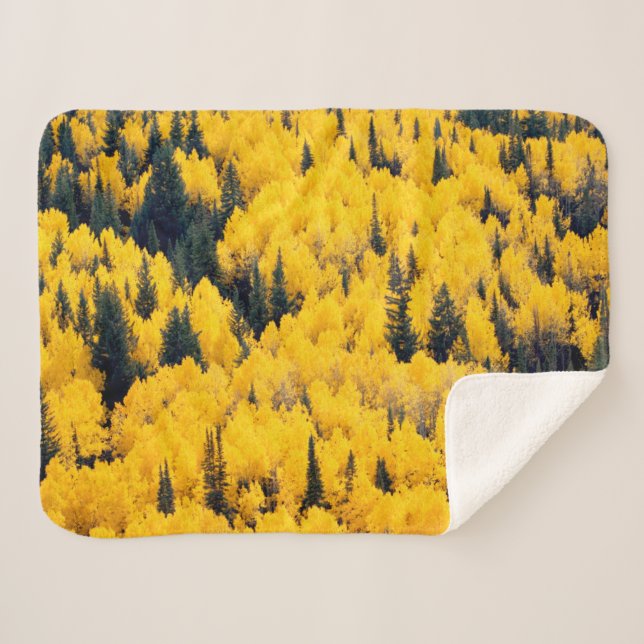 Manta Sherpa Bosque nacional del río Blanco | Aspen, Colombia (Anverso (horizontal))