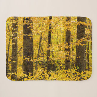 Manta Sherpa Bosque nacional Fall Pisgah