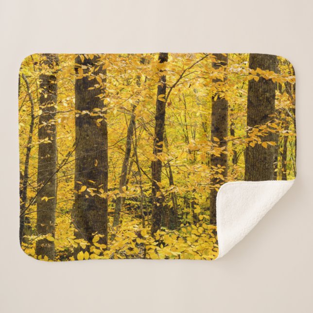 Manta Sherpa Bosque nacional Fall Pisgah (Anverso (horizontal))