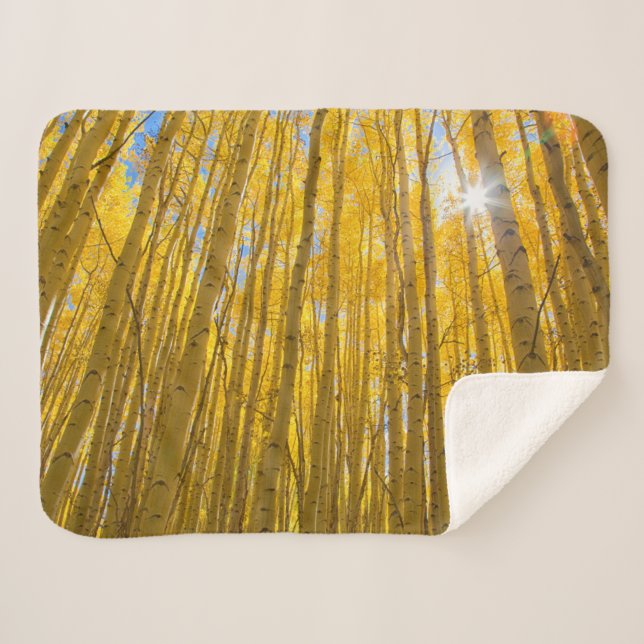 Manta Sherpa Bosque Nacional White River (Anverso (horizontal))
