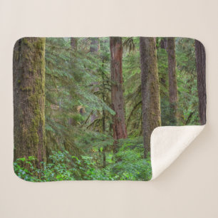 Manta Sherpa Bosque Nacional Willamette Oregon