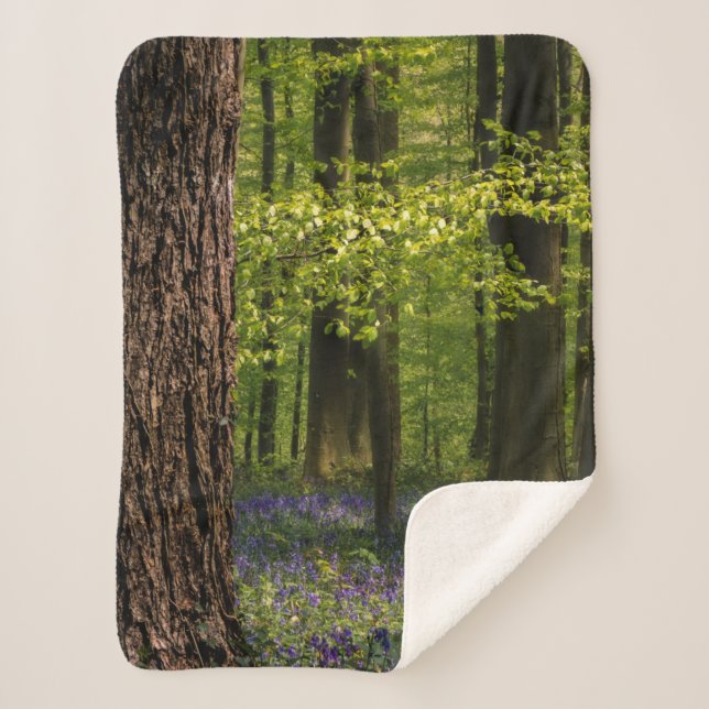 Manta Sherpa Bosques | Bluebells en Bélgica (Anverso)