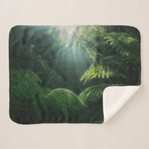 Manta Sherpa Bosques   Ferrocarriles en la selva tropical
