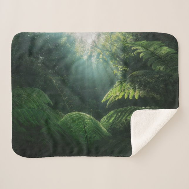 Manta Sherpa Bosques | Ferrocarriles en la selva tropical (Anverso (horizontal))