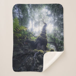 Manta Sherpa Bosques Parque rural de Anaga Islas Canarias