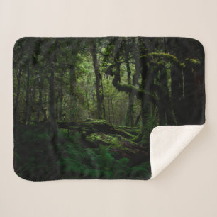 Manta Sherpa Bosques   Routeburn Track Fiordland Parque naciona