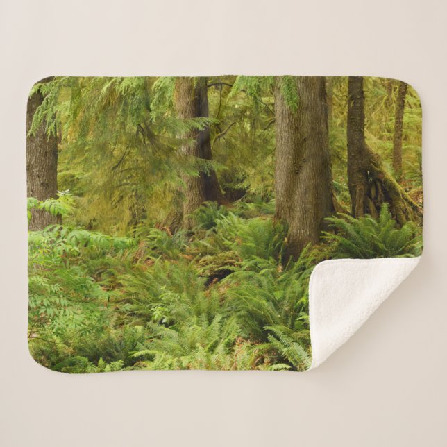 Manta Sherpa Bosques y fermentos exuberantes | Parque Estatal E (Anverso (horizontal))