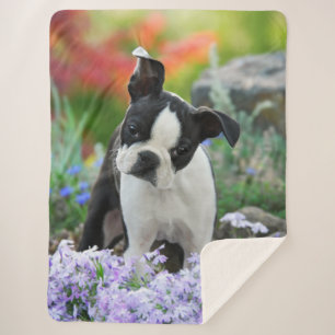 Manta Sherpa Boston Terrier Dog Cute Puppy Animal Head Foto -,