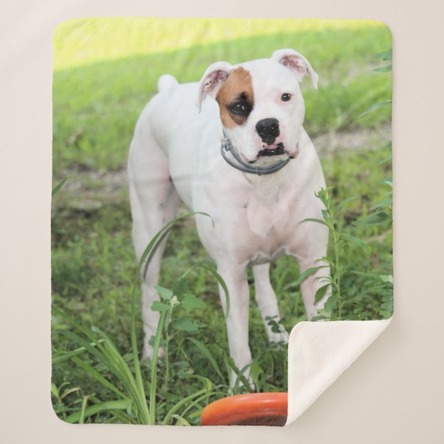 Manta Sherpa Boxeador (Anverso)