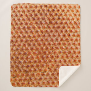 Manta Sherpa Bread texture with a lot of dots (after cooking on