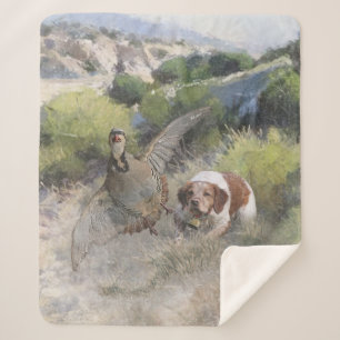 Manta Sherpa Brittany Spaniel caza chukar pertridge, arte