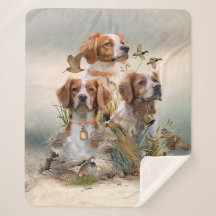 Brittany Spaniel, pasión por las aves