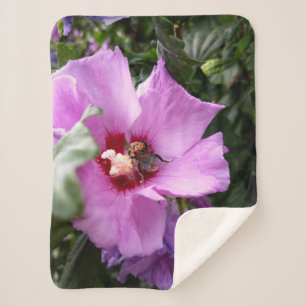 Manta Sherpa Bumblebee en la flor de Hibiscus