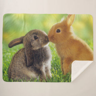 MANTA SHERPA BUNNIES DE KISSING