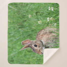 Manta Sherpa Bunny