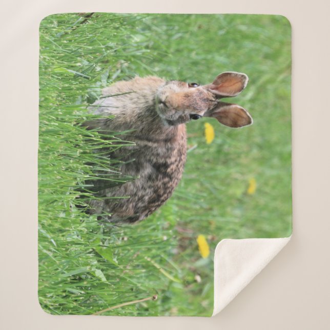 Manta Sherpa Bunny (Anverso)