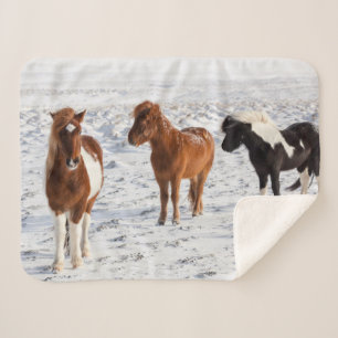Manta Sherpa Caballo islandés con pelaje típico de invierno