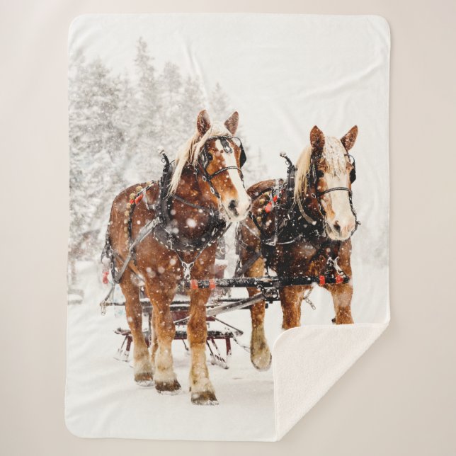 Manta Sherpa CABALLOS de PROYECTO en la NIEVE (Anverso)