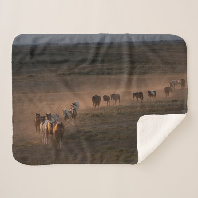 Manta Sherpa Caballos salvajes caminando hacia el desierto (Anverso (horizontal))