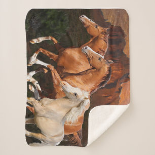 Manta Sherpa Caballos salvajes de Arizona