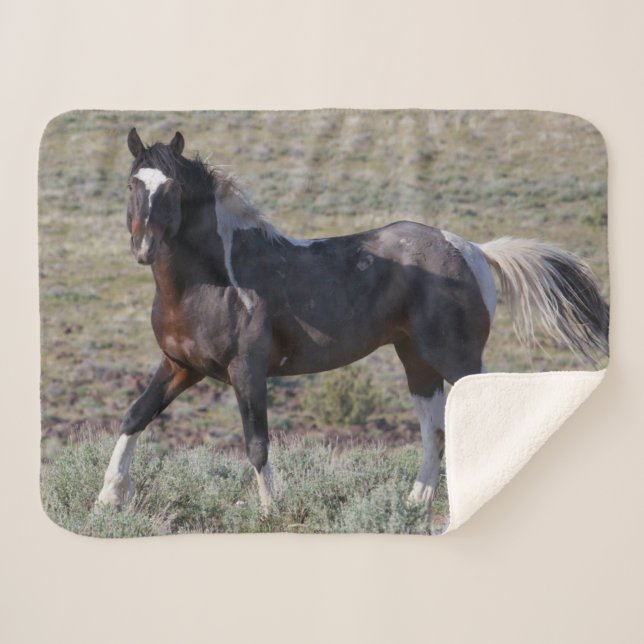 Manta Sherpa Caballos salvajes después de un baño de polvo (Anverso (horizontal))