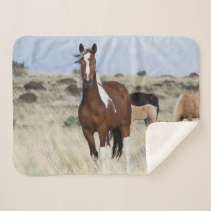 Manta Sherpa Caballos salvajes, montañas de Steens