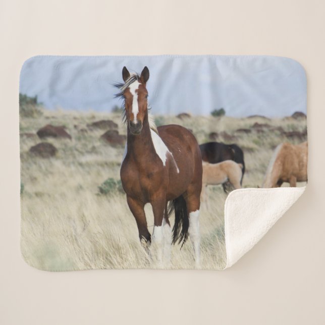 Manta Sherpa Caballos salvajes, montañas de Steens (Anverso (horizontal))