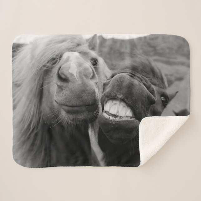 Manta Sherpa Caballos sonrientes de las imágenes el | de Getty (Anverso (horizontal))