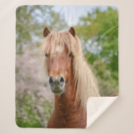 Manta Sherpa Cabeza de caballo Aegidienberger cruza Islandia y