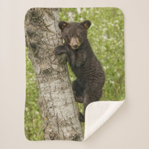 Manta Sherpa Cachorro de oso negro en árbol