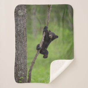 Manta Sherpa Cachorro de oso negro jugando en rama de árbol
