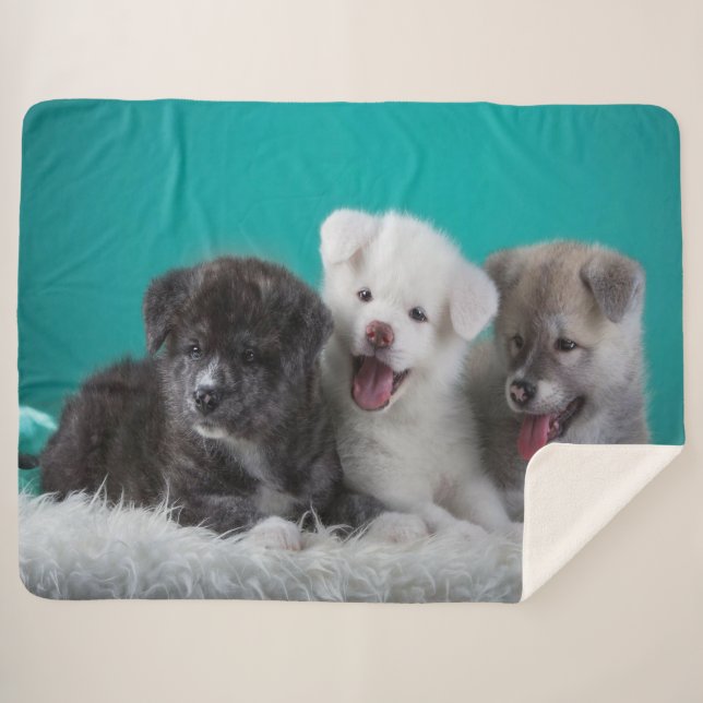 Manta Sherpa Cachorros (Anverso (horizontal))