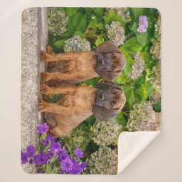 Manta Sherpa Cachorros de montaña bávaros con flores