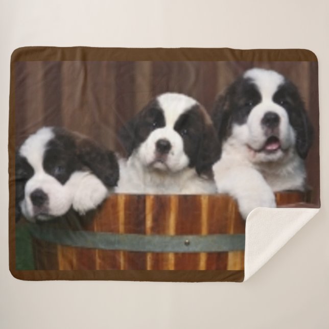 MANTA SHERPA CACHORROS DE SAN BERNARDO (Anverso (horizontal))
