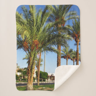 Manta Sherpa Calle de palmeras datileras en la ciudad de Sharm