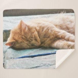 Manta Sherpa Cama de gatito de pelo largo durmiendo