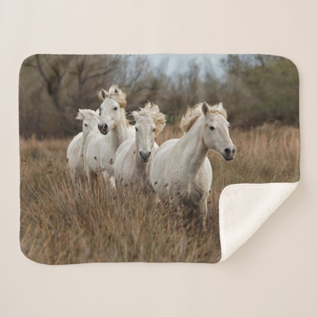 Manta Sherpa Camarga de caballos (Anverso (horizontal))
