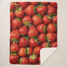 Campo de Fresas Frescas de Granja