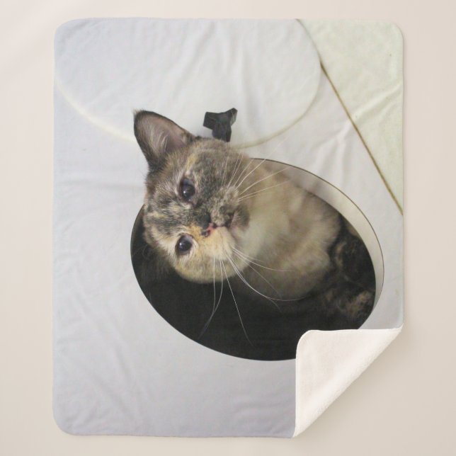Manta Sherpa Cat Fleece Blanket (Anverso)
