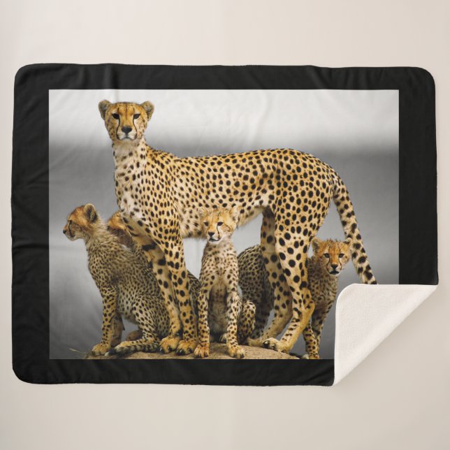 Manta Sherpa Cheetahs (Anverso (horizontal))