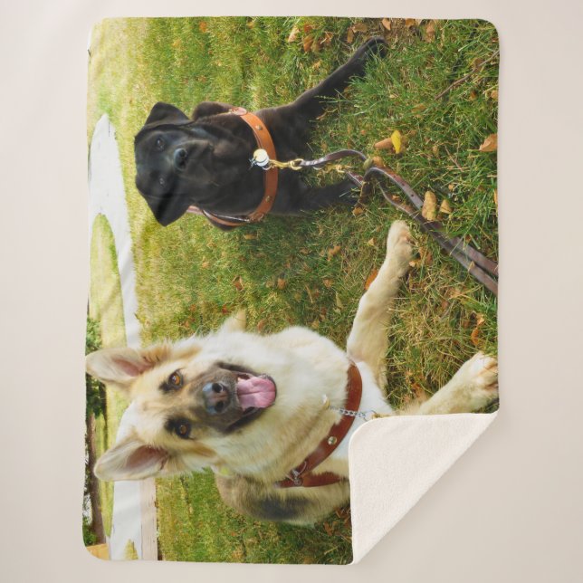 Manta Sherpa Chicas de trabajo (Anverso)