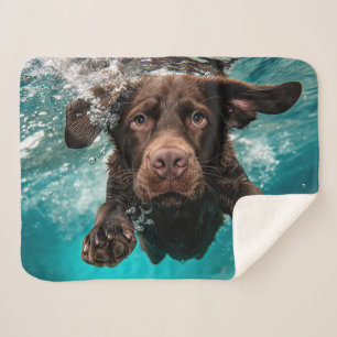 Manta Sherpa Chocolate labrador juguetón nadando bajo el agua