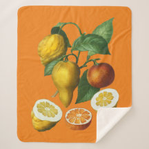CITRUS FRUIT FLETE BLANKET
