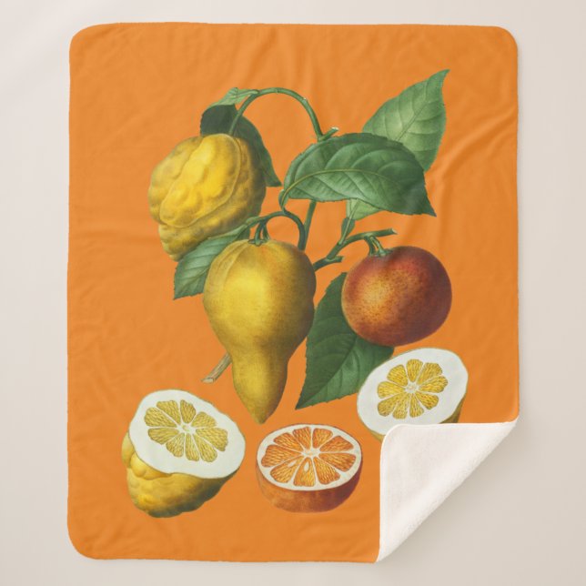 MANTA SHERPA CITRUS FRUIT FLETE BLANKET (Anverso)