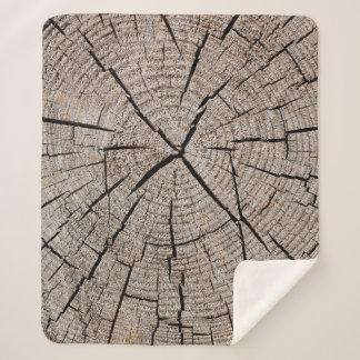 Manta Sherpa Close up gray background texture of old weathered