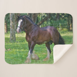 Manta Sherpa Clydesdale Horse